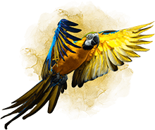 Papūga - dekoracinis džiunglių elementas