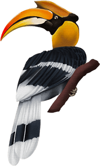 Džiunglių dekoracija - mini golfo paslaugos Kaune